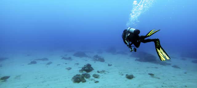 Bautismo de buceo en Las Galletas