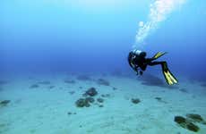 Bautismo de buceo en Las Galletas