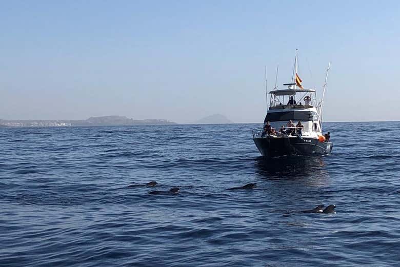 Profitez de la traversée sur l'Atlantique