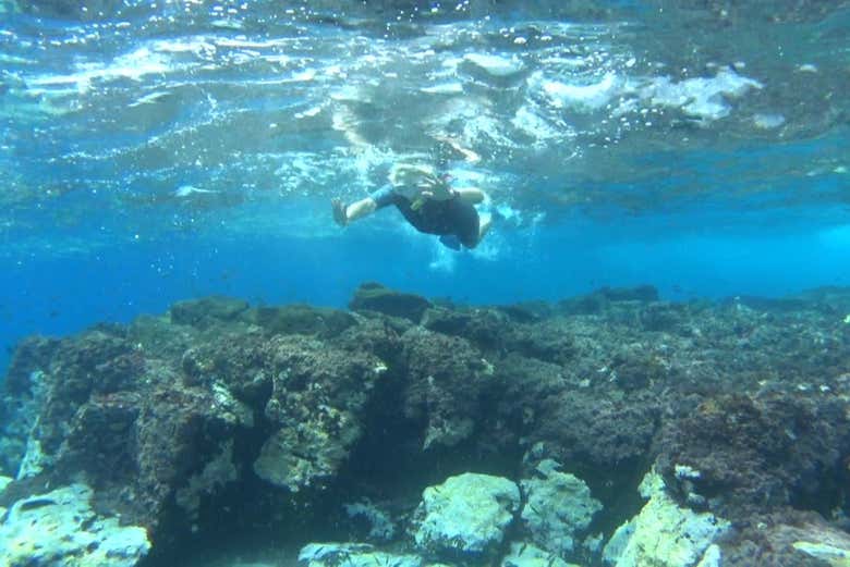 Fazendo snorkel no Malpaís de Rasca
