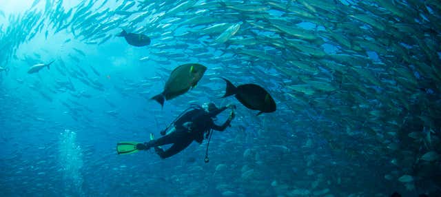 Bautismo de buceo en Las Negras