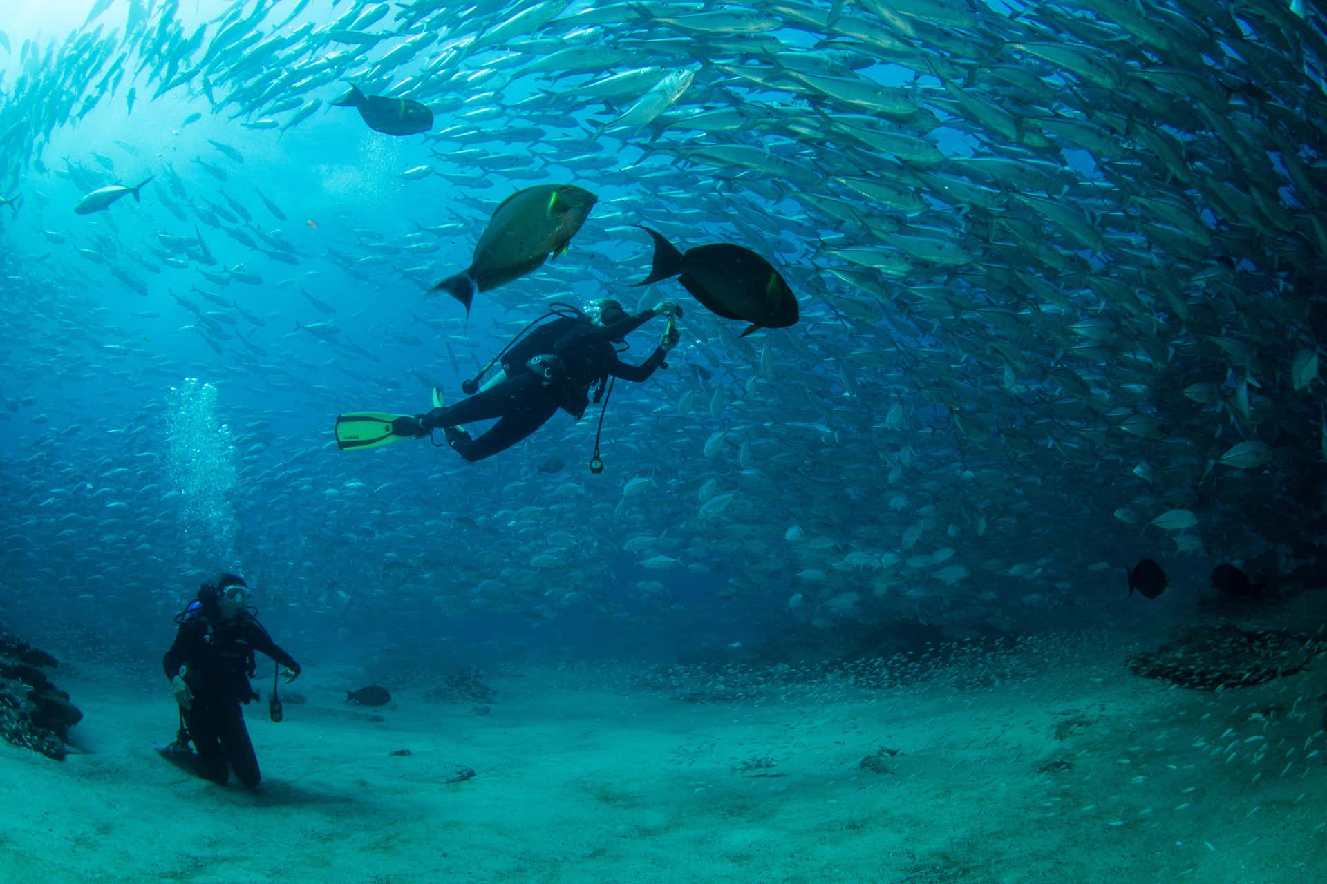 Bautismo de buceo en Las Negras