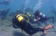 Curso de mergulho PADI Open Water em Las Negras