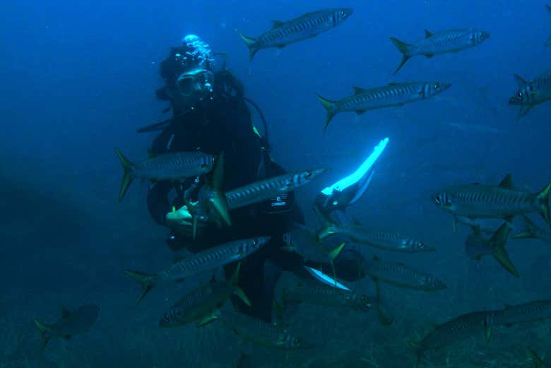 Explorando los fondos marinos de Las Negras