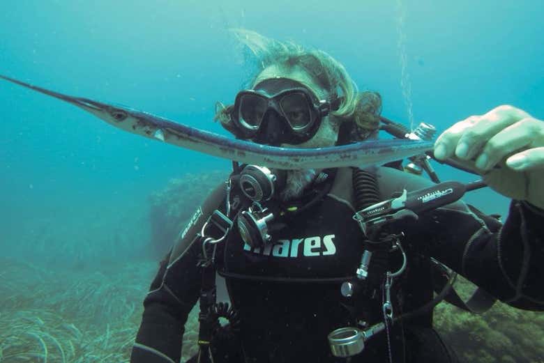 Scuba diving in Las Negras