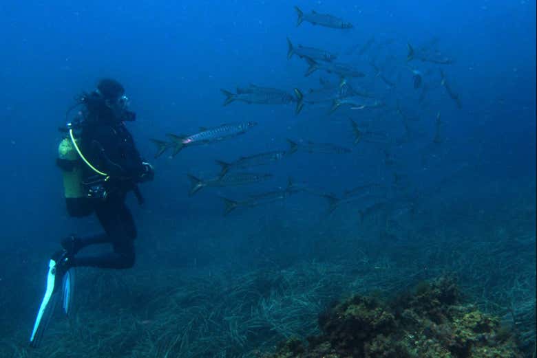 Desfrutando do curso de mergulho em Las Negras