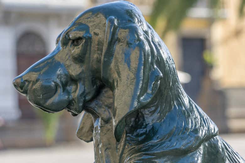 Esculturas de cães na praça de Santa Ana