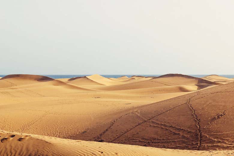 Reserva Naturale delle Dune di Maspalomas