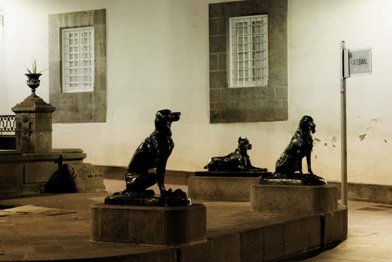 Los Perros de la Plaza de Santa Ana