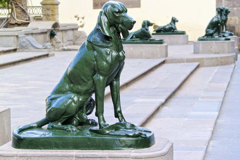 Dogs in Plaza de Santa Ana