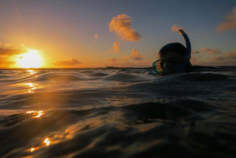 Snorkel con la puesta de sol
