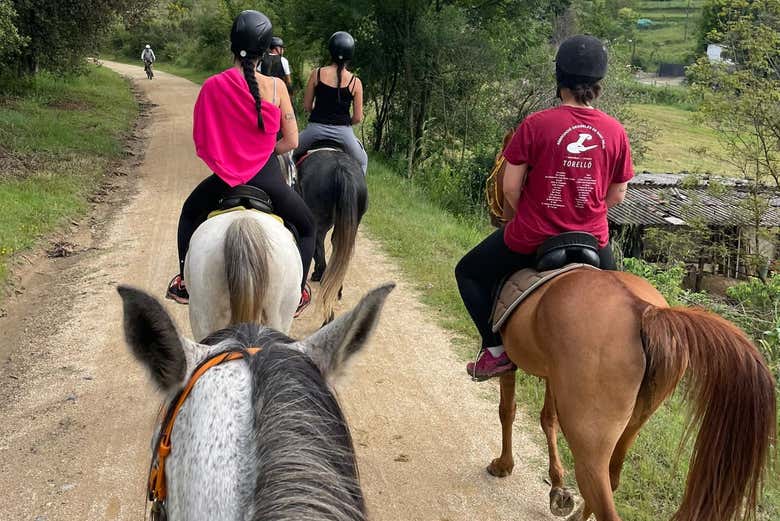 Disfrutaréis de un paseo a caballo inolvidable