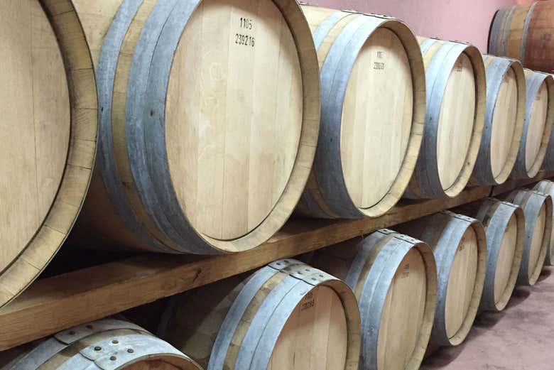 Barris de vinho no Cortijo El Cura