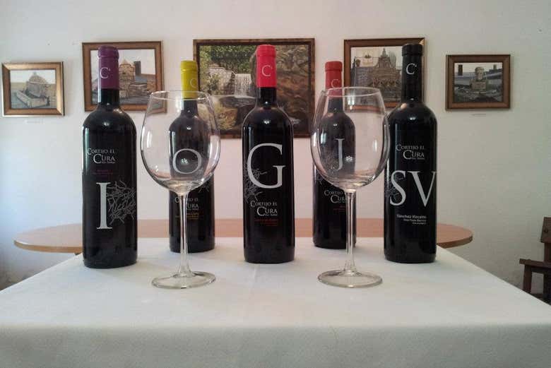 Bouteilles de vin de la cave du Cortijo El Cura