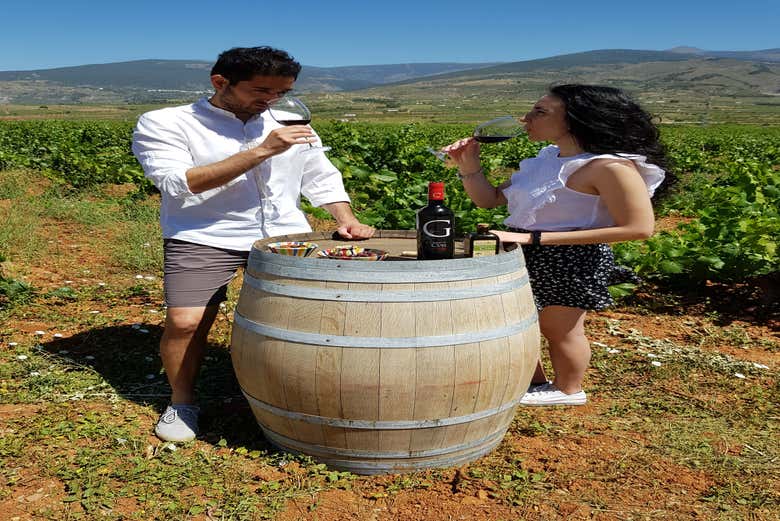 Couple dégustant du vin dans les vignobles du Cortijo El Cura