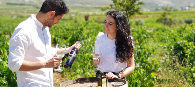 Visita al Cortijo El Cura + Cata de vinos