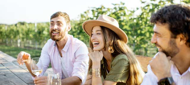 Tour de vinos y tapas por Valdevimbre