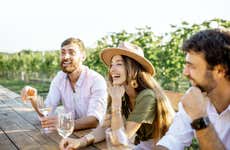 Tour de vinos y tapas por Valdevimbre