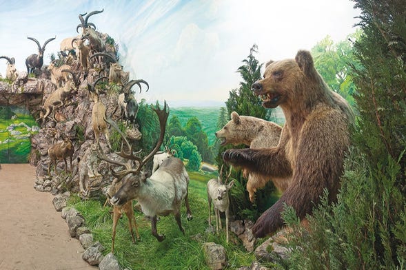 Excursão ao Museu da Fauna Selvagem de Valdehuesa