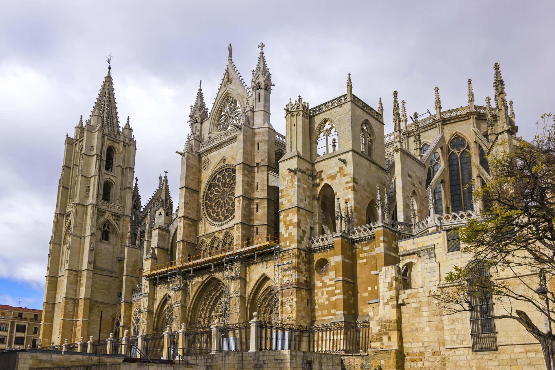 Free tour por León