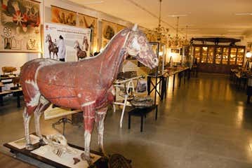 Une des salles du musée
