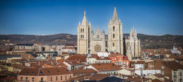 Tour por el León medieval y la judería