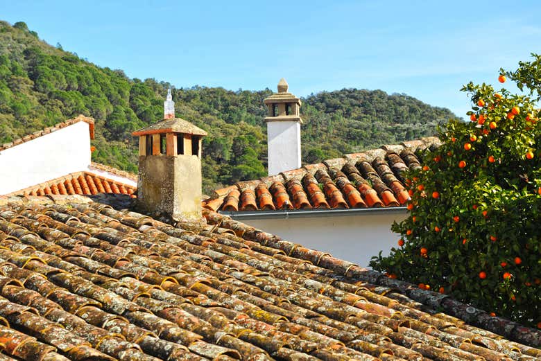Telhados das casas de Linares de la Sierra