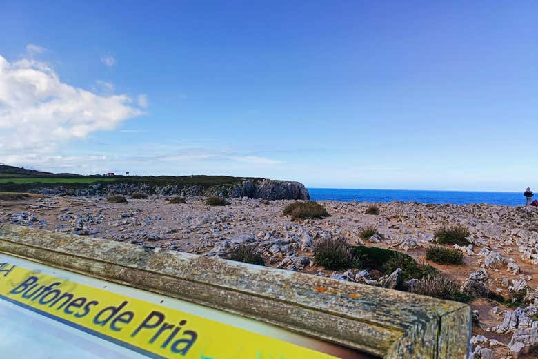 Cartel de los Bufones de Pría