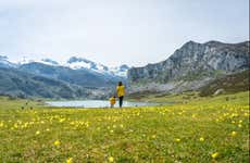 Excursión a los lagos de Covadonga y Cangas de Onís