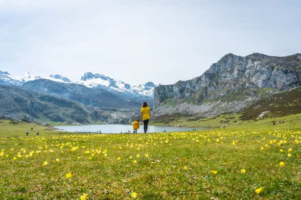 Excursión a Covadonga y Cangas de Onís