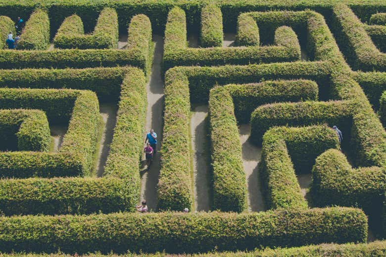 Trying to find the way out