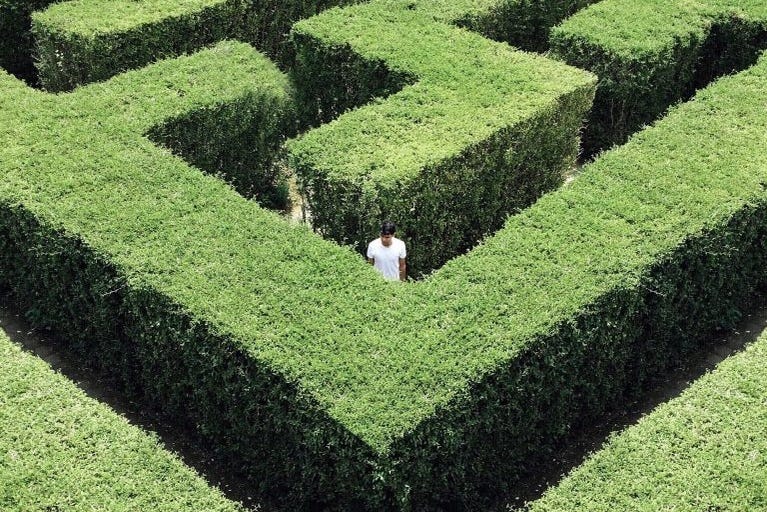Within the maze