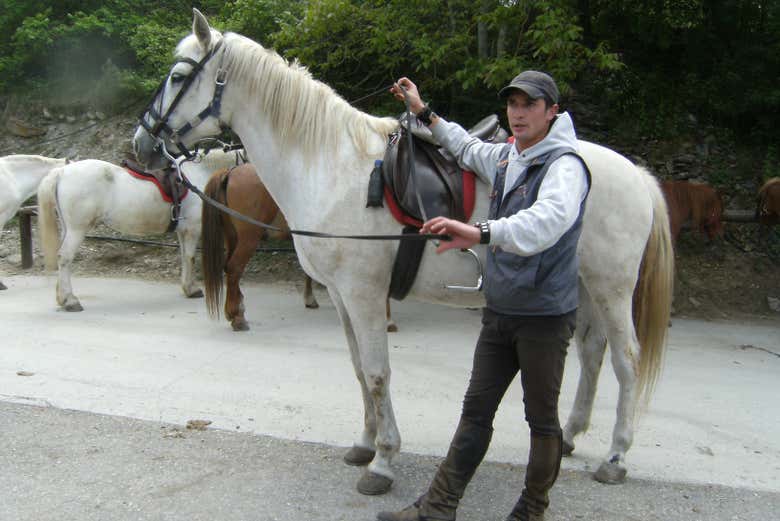 Avant de monter à cheval