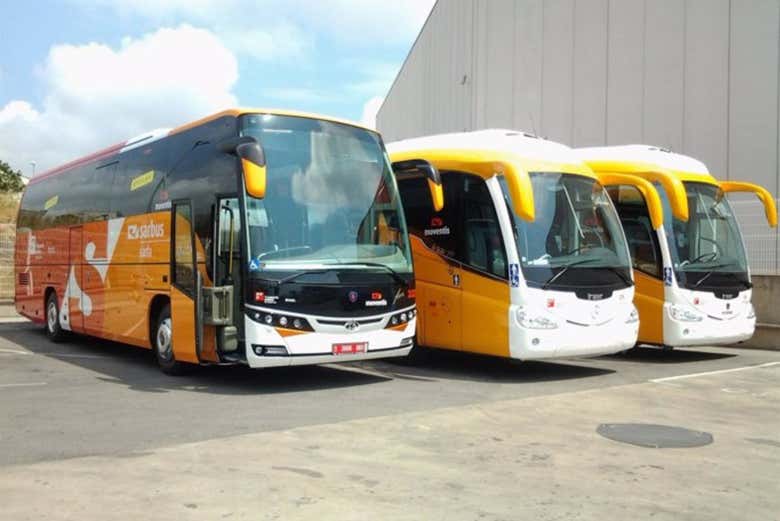 Los autobuses en los que viajaréis a vuestro destino