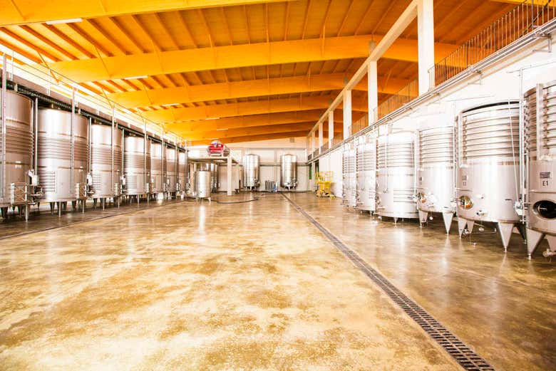 Produção de vinho Vi Rei
