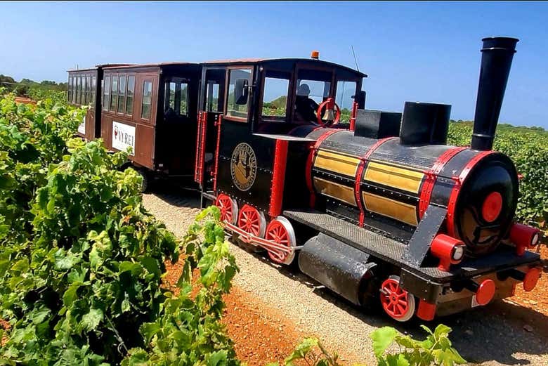 Train pour les vignobles