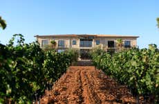 Visita a las bodegas Vi Rei