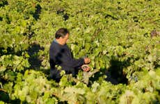Excursión a Laguardia + Visita a una bodega con cata