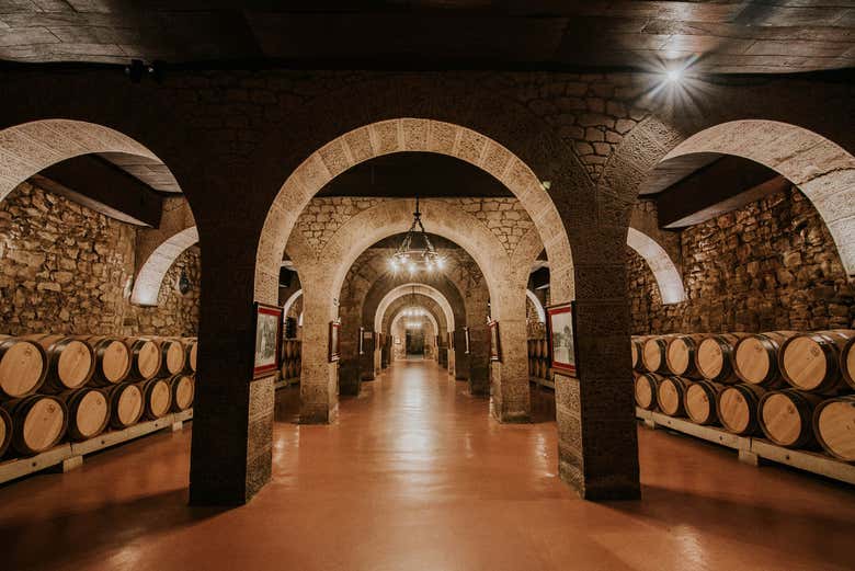 Interior de la bodega