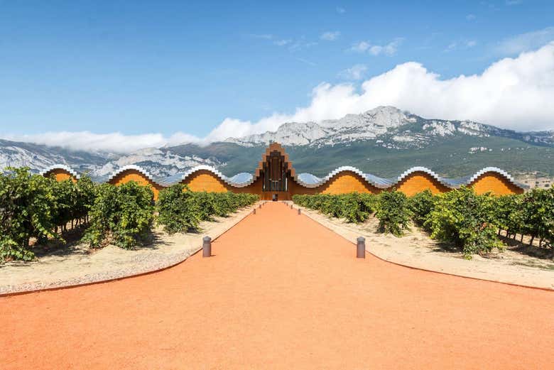 Cantine Ysios