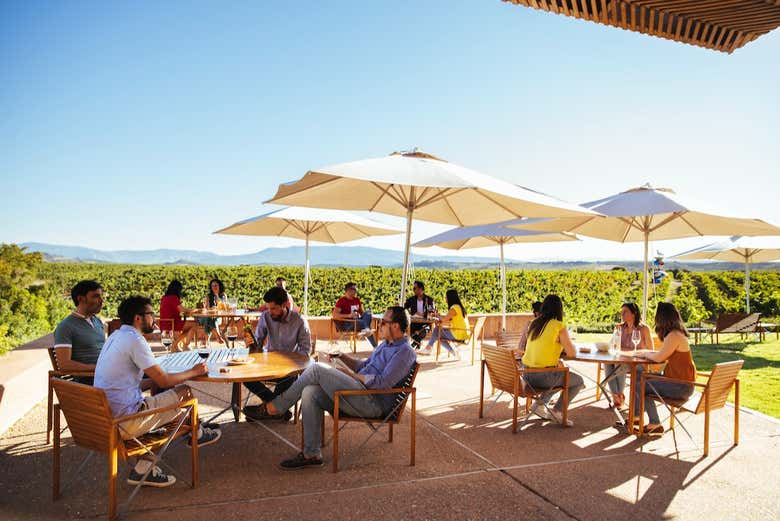 Profitez de la terrasse du domaine viticole Campo Viejo