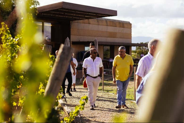 Passeggiando nei vigneti