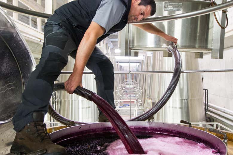 Os convertiréis en expertos sobre el vino de La Rioja