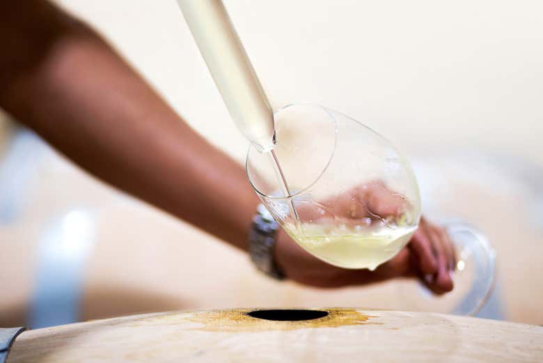 Disfrutando de la cata de vino Rioja Vega