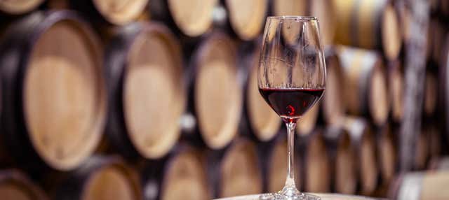 Visita a las bodegas Franco-Españolas
