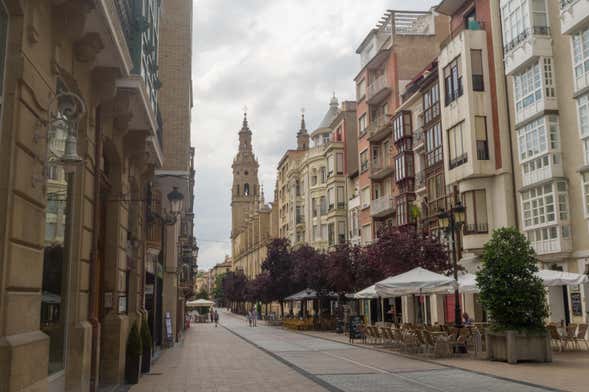 Tour privado por Logroño ¡Tú eliges!