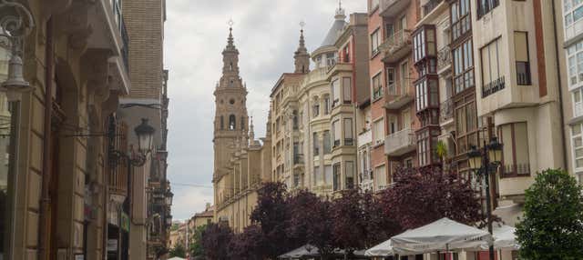 Tour privado por Logroño ¡Tú eliges!