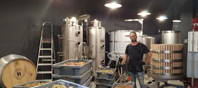 Visita a la bodega Hoplita