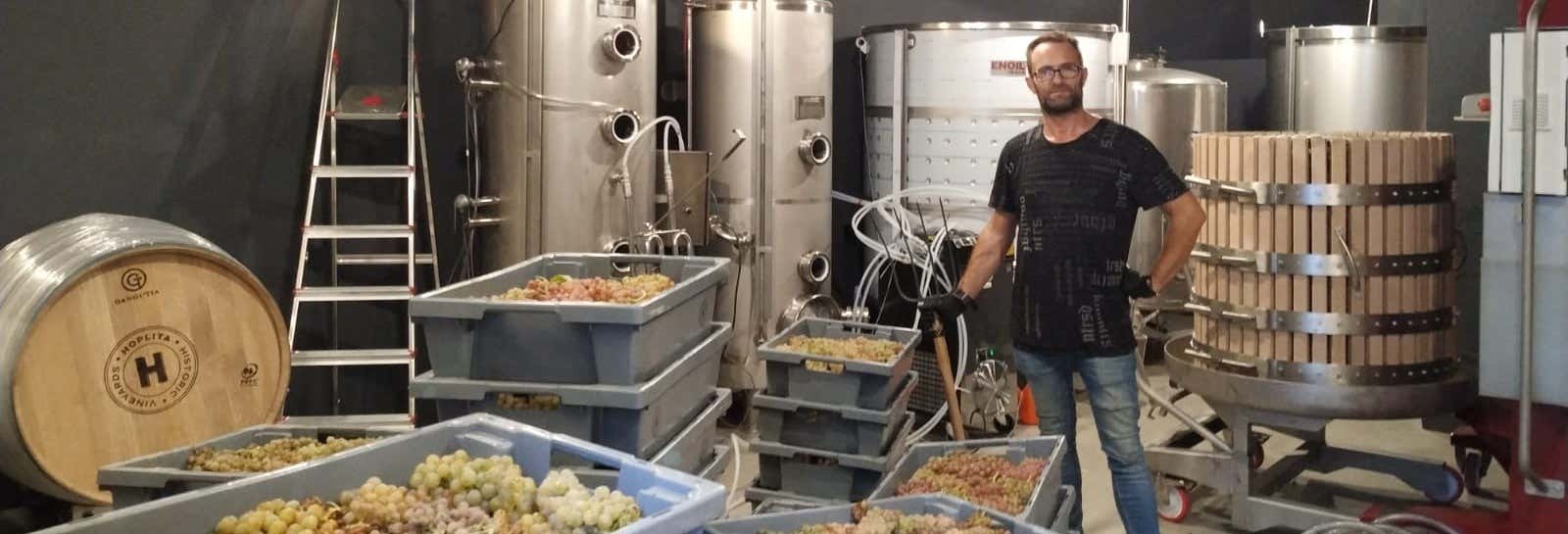 Gastronomía y enoturismo en Logroño