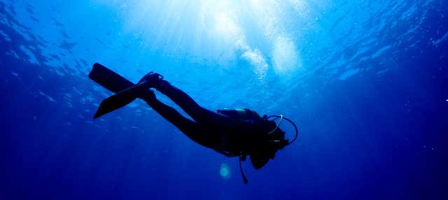 Curso Scuba Diver en Los Abrigos